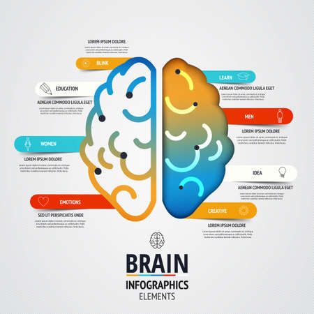 Creative brain infographics design. Inspiration concept modern design template workflow layout, diagram, step up options. Vectorのイラスト素材