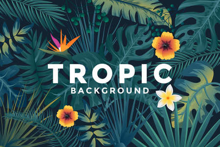 Tropical background with jungle plants. Trendy background with tropic leaves, can be used as Exotic wallpaper, Greeting card, poster, placard. Vector Illustrationのイラスト素材