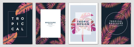 Tropical Brochure Design Layout Template in A4 size, greeting cards. Frame with tropic leaves. Ideal for party poster, greeting card, banner or invitation. Vector Illustrationのイラスト素材