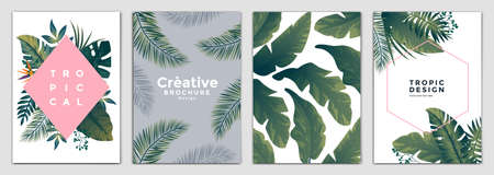 Tropical Brochure Design Layout Template in A4 size, greeting cards. Frame with tropic leaves. Ideal for party poster, greeting card, banner or invitation. Vector Illustrationのイラスト素材