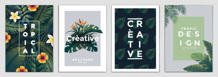 Tropical Brochure Design Layout Template in A4 size, greeting cards. Frame with tropic leaves. Ideal for party poster, greeting card, banner or invitation. Vector Illustrationのイラスト素材