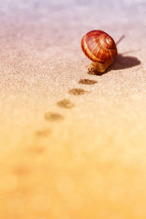 Slow helix make fast move.の写真素材