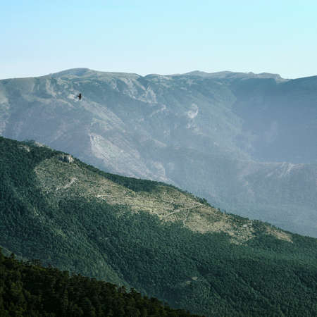 Bird flying over the slopes of the mountains in the infinite space.の写真素材