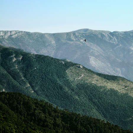 Bird flying over the slopes of the mountains in the infinite space.の写真素材