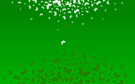 Butterflies fly to the center. Vector illustration.のイラスト素材