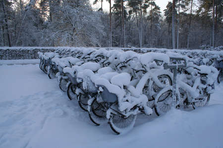 Bikes you can borrow for free (white bikes) covered in snowの写真素材