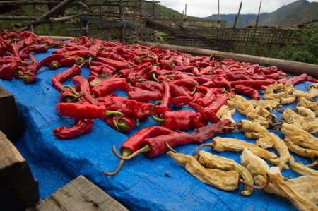 drying peppers on a roof in Bhutanの写真素材