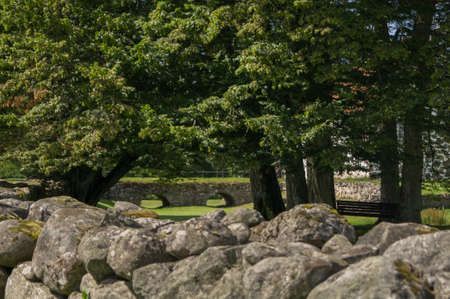 A foot bridge over a field of grassの写真素材