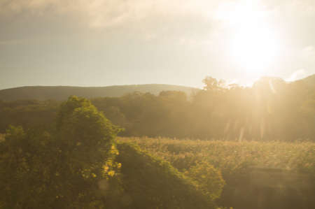 Sun falir over an agricultrual field at duskの写真素材