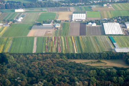 An aerial view of the bulb fields in Holland