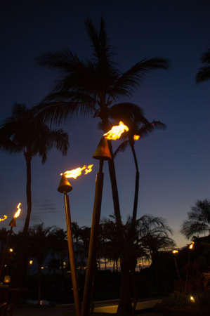 Lit torches in front of palm trees at night in Hawaiiの写真素材