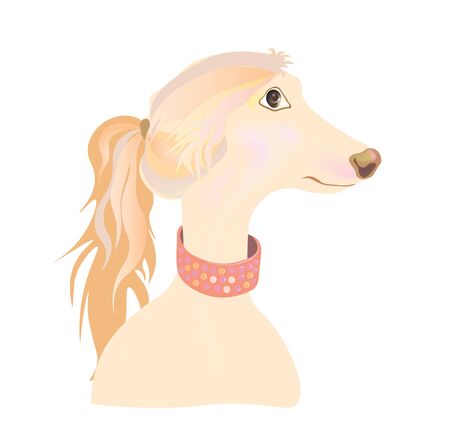 A  funny portrait of a dog, a Lady dog with a collard.のイラスト素材