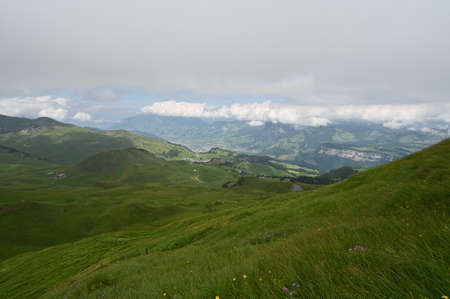 Idyllic Alpine landscape scenery with green hills and blooming flowers on a summer day.の写真素材