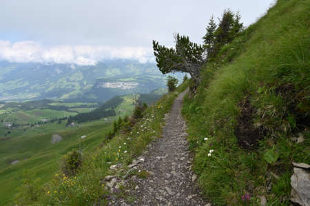 A stone trail hiking path in Alps Mountains going up to the top.の写真素材