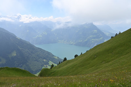 Alps mountain scenery with clear lake and green hills full of blooming flowers and misty, cloudy sky.の写真素材