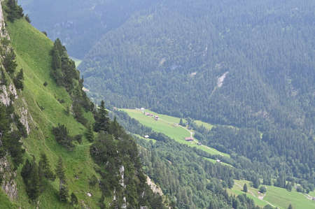 Charming chalets on a green grassy slope of the mountain.の写真素材
