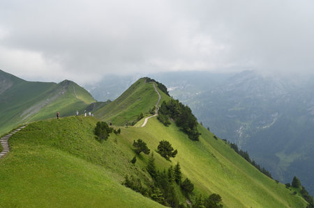 Green alpine and hills landscape in Switzerland.の写真素材