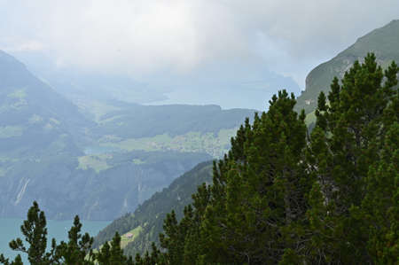 Mountain landscape with green grass, pine trees and few lakes in the background on a sunny summer day in the Swiss countryside.の写真素材