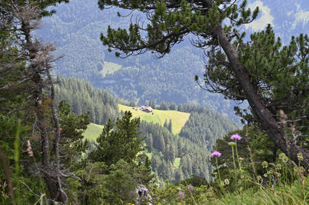 Isolated house on a hillside in Swiss mountains, surrounded by woods of conifers and green meadows.の写真素材