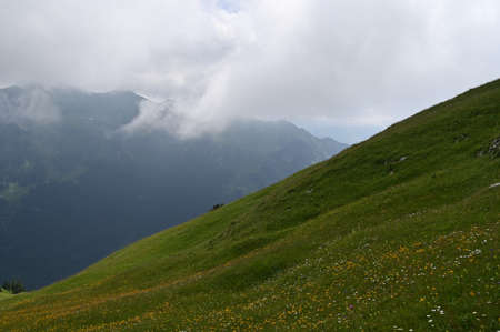 Beautiful landscape with slope covered in green grass, wildflowers and with mountains in misty background.の写真素材