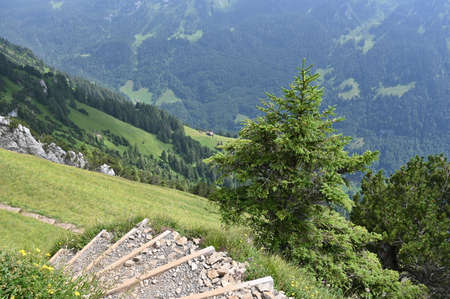 Hiking mountain path, road with stairs in Switzerland with beautiful, nature background.の写真素材