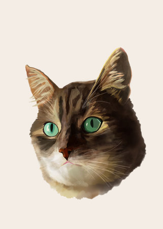 Portrait of my beloved cat.の写真素材