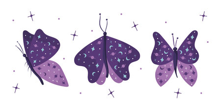 Set of hand draw butterflies on white background in purple colors with stars and moon.Vector.のイラスト素材