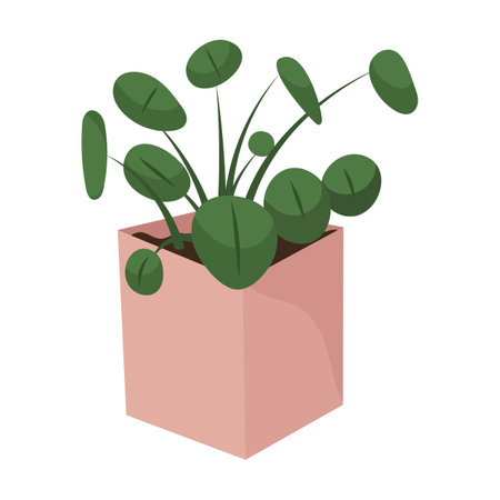 Hand draw indoors plant isolated on white. Pink, green colors. Ufopflanze in doodle style.Houseplant vector illustration for postcards, wrapping, banners, package and patterns.のイラスト素材