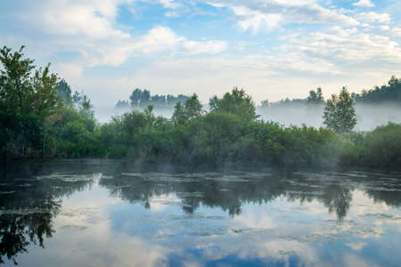 blue sky and foggy lake forestの写真素材