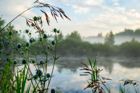 Misty Morning Panoramaの写真素材