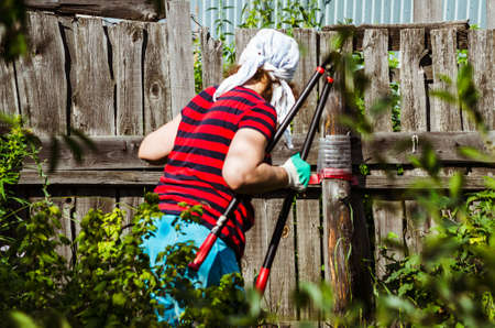 a woman working in a garden green-garden work in the Southの写真素材