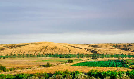 landscape field mountain expanse trip to the South of Russia, Bashkiria, Urals, Ural mountainsの写真素材