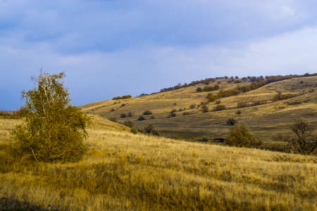 landscape field mountain expanse