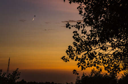 Summer sunset trees nature river beach vacationの写真素材