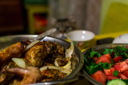 A cat is looking for foodの写真素材