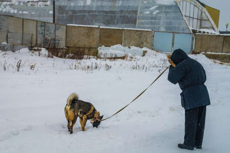 grandfather walks with a dog in winter and the cityの写真素材