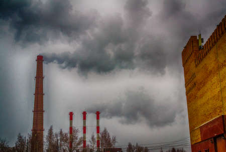 crane construction winter city tree sun craneの写真素材