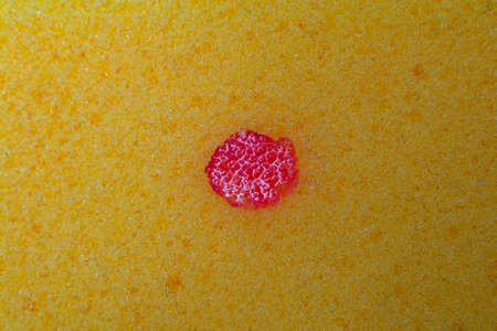sponge bath macro shooting bubbles texture with water drops dishwashing detergentの写真素材