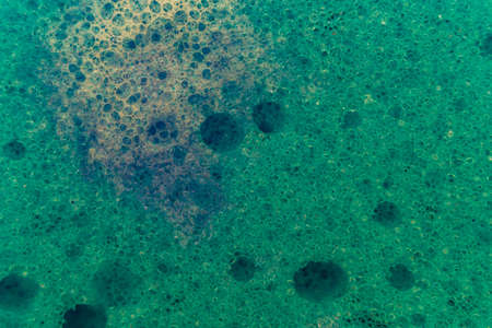 sponge bath macro shooting bubbles texture with water drops dishwashing detergent