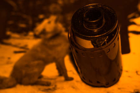 film old photo retro style with the pictures of old
