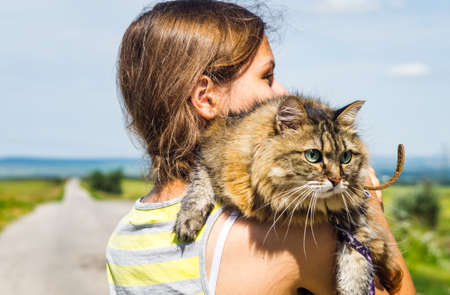 Cat traveler looking