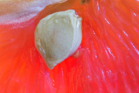 grapefruit health close-up