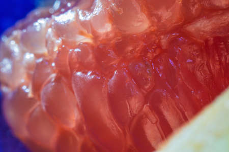 grapefruit close-up macro photo of citrus fruitsの写真素材
