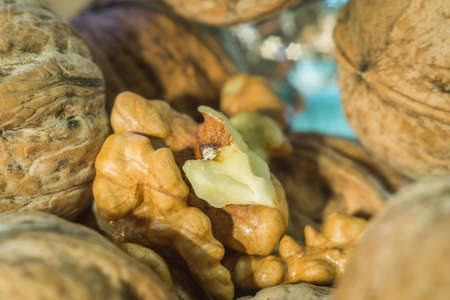 peeled walnut close