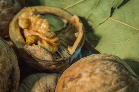 half walnut macro photo