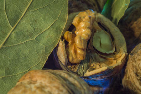 half walnut close-up photo sheets with health nutsの写真素材