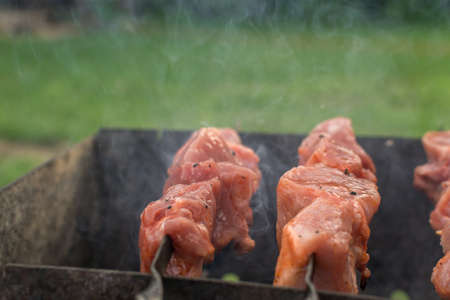 the barbecue relaxing with friends in nature fried meatの写真素材