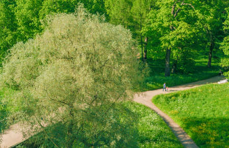 Park top view people walking in the distance, the view from the castleの写真素材