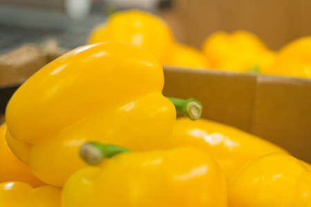 yellow bell peppers on fresh vegetables marketの写真素材