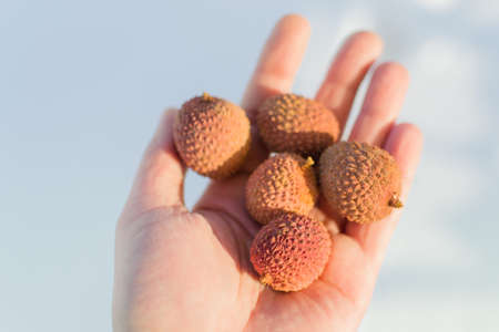 litchi in hand on the street fresh fruit in the bright sunの写真素材